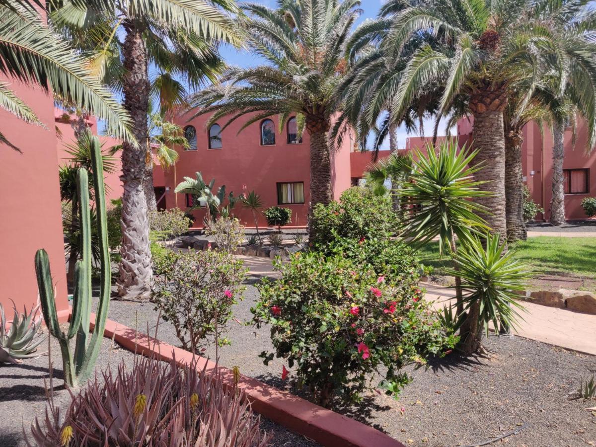 Apartmán Oasis Tamarindo Poppins Pool E Terrace Corralejo Exteriér fotografie