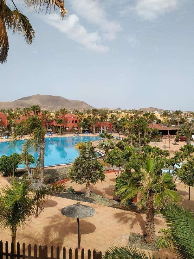 Apartmán Oasis Tamarindo Poppins Pool E Terrace Corralejo Exteriér fotografie