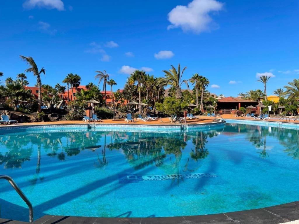 Apartmán Oasis Tamarindo Poppins Pool E Terrace Corralejo Exteriér fotografie